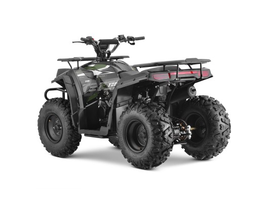 10TEN 200U Quad 2WD