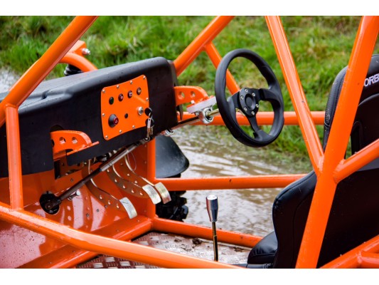 BEAST Zetec Off Road Buggy