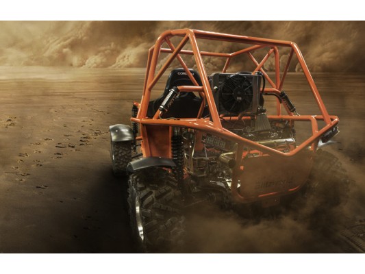 BEAST Zetec Off Road Buggy