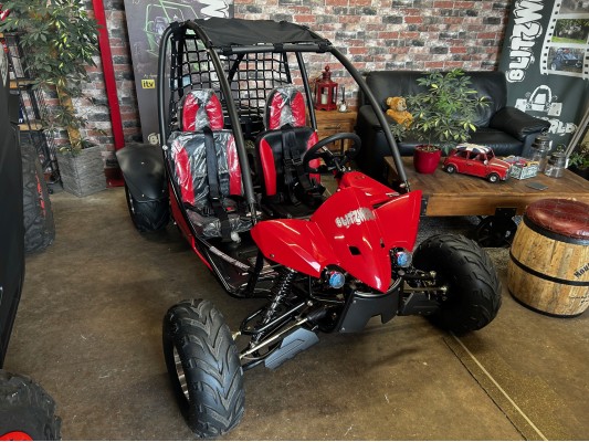 Junior 200cc Buggy 8" Alloy Wheels 13.5hp (kids 6+ & adults) 2025 Spec