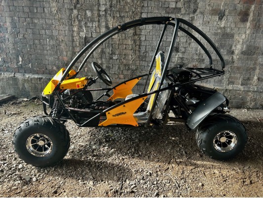 Junior 200cc Buggy 8" Alloy Wheels 13.5hp (kids 6+ & adults) 2025 Spec
