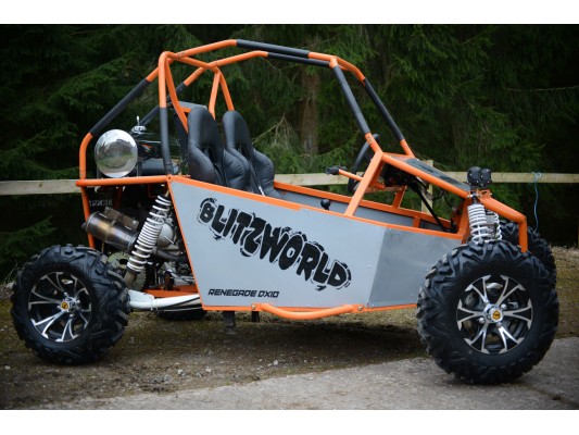 Renegade DX10 300cc USED Buggy (SN)