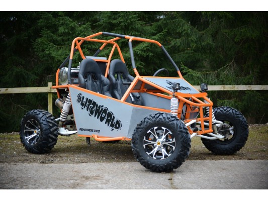 Renegade DX10 300cc USED Buggy (SN)