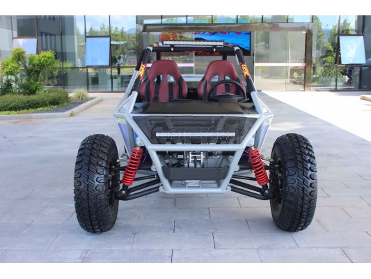 INTRUDER Lithium-Ion 21Kw 4x4 Buggy