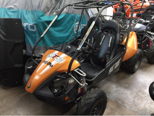 USED Hammerhead GTS buggy (D)