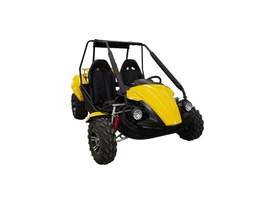Budget GY6 Kids 150cc Buggy