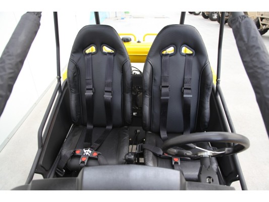 Budget GY6 Kids 150cc Buggy