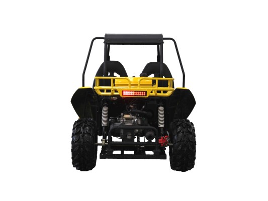 Budget GY6 Kids 150cc Buggy