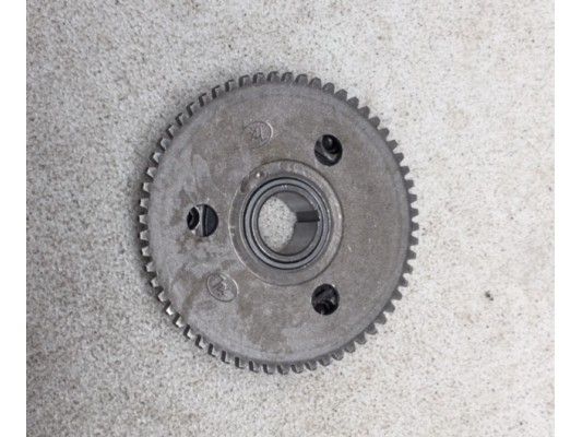 Ripster 200cc Starter clutch