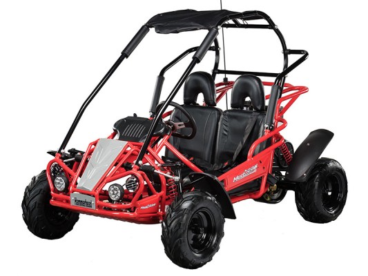 Hammerhead Mudhead 200cc (8-11 yrs)