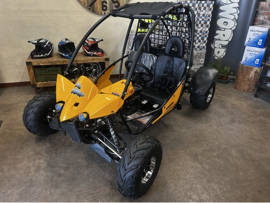 Junior 200cc Buggy 13.5hp (kids 6+ & adults) (X-Show Buggy) For Sale Junior 200cc Buggy 13.5hp (kids 6+ & adults) (X-Show Buggy) For Sale