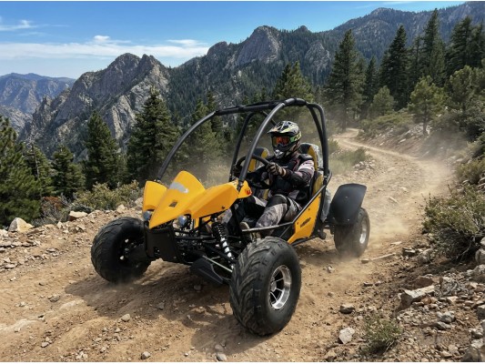 Junior 200cc Buggy 8" Alloy Wheels 13.5hp (kids 6+ & adults) 2025 Spec