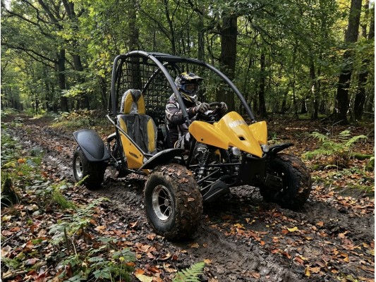 Junior 200cc Buggy 8" Alloy Wheels 13.5hp (kids 6+ & adults) 2025 Spec