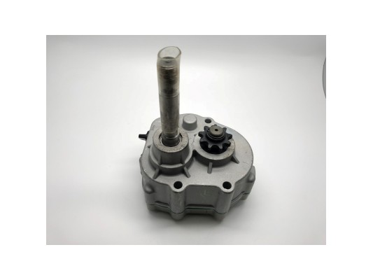 Kids Buggy Reverse Gearbox for 7hp Buggy