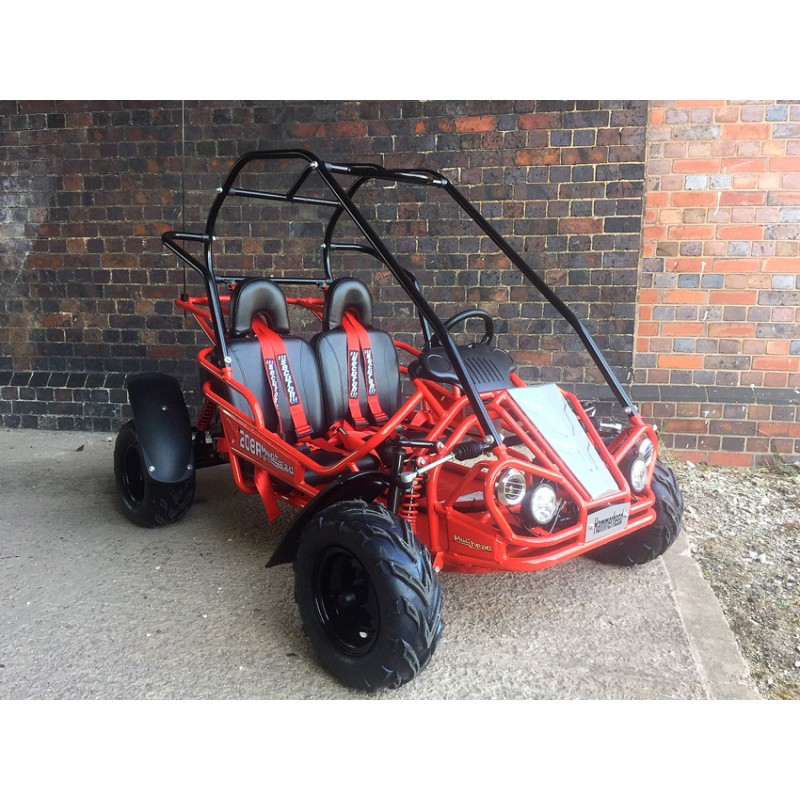 hammerhead mudhead buggy