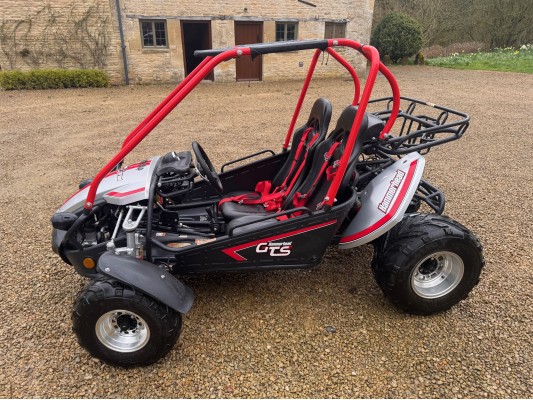 USED Hammerhead GTS Platinum buggy - FOR SALE (CMT)