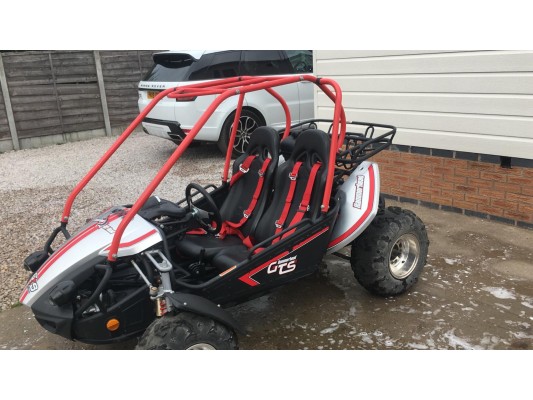 USED - Polaris Hammerhead Platinum 150cc Buggy (12 - Adult) - FOR SALE