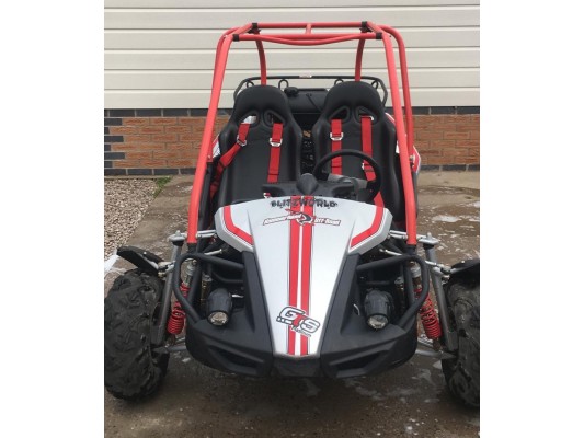 USED - Polaris Hammerhead Platinum 150cc Buggy (12 - Adult) - FOR SALE