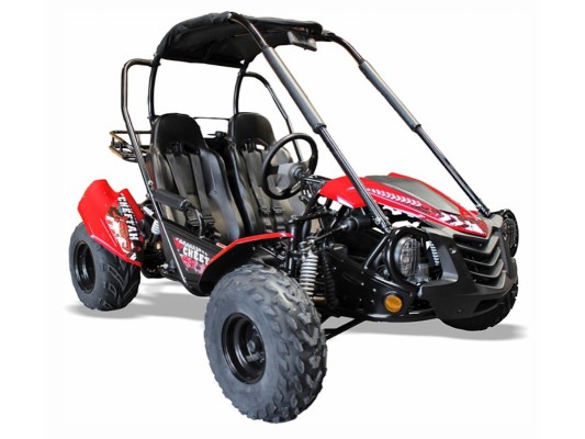 Cheetah 150cc Buggy (8.9hp)(12 - Adult)