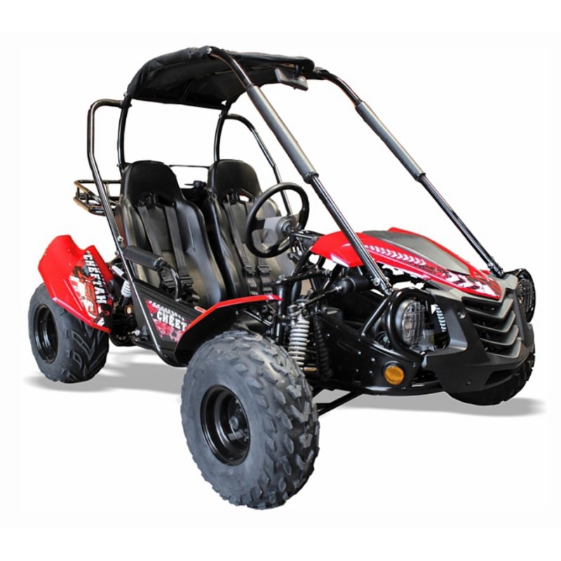 quadzilla 150 buggy