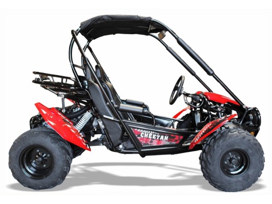 Cheetah 150cc Buggy (8.9hp)(12 - Adult)