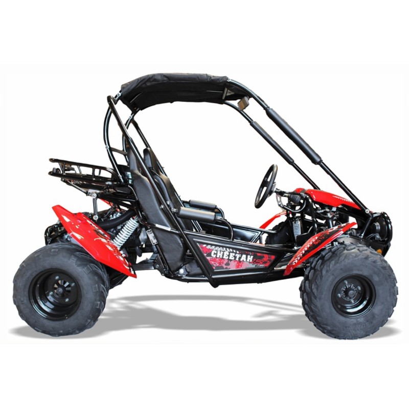 quadzilla kids buggy