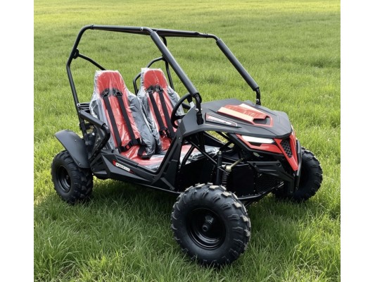 Quadzilla Stingray 210 Buggy 6.5hp (USED) For Sale