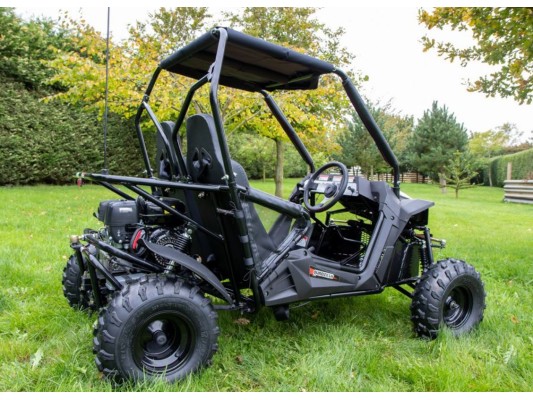 Quadzilla Stingray 220 Buggy RHD (6.5hp)(Reverse) MKII  DEMO