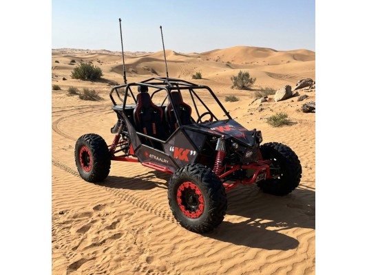 Renegade Rebel 1000cc (EFI) 92hp