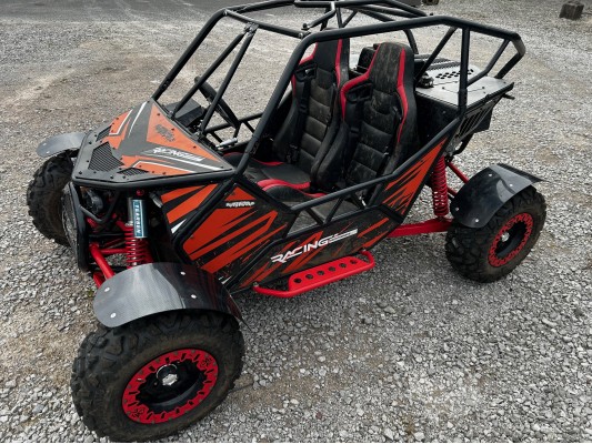 USED Renegade Rascal 325cc Buggy - FOR SALE (SD)