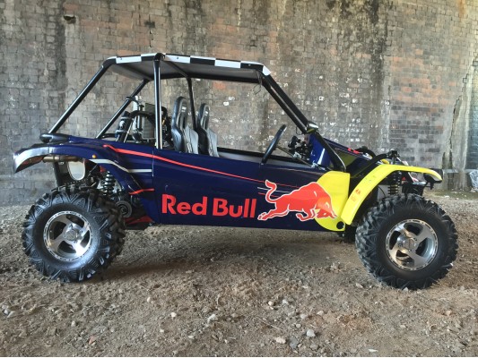 ANIMAL Type-R Road Legal Buggy