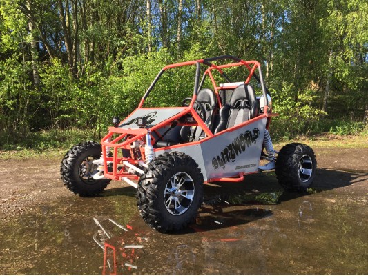 Renegade DX10 (Auto) buggy 300cc X-demo