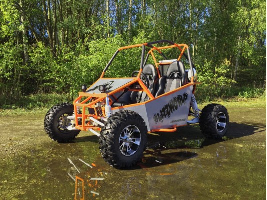 Renegade DX10 300cc 18hp (kid/adults)