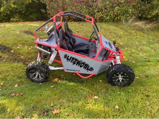 Renegade DX10 (Auto) buggy 300cc (USED) (DM)  SOLD