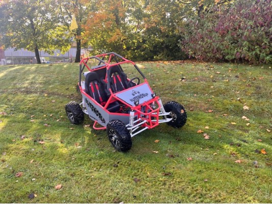 Renegade DX10 (Auto) buggy 300cc (USED) (DM)  SOLD