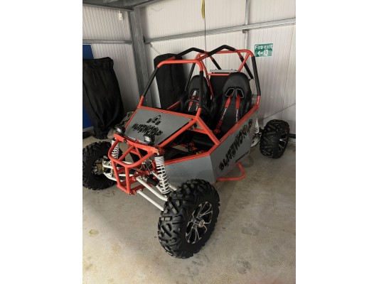 Renegade DX10 (Auto) buggy 300cc (USED) (DM)  SOLD