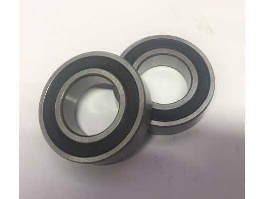 Renegade DX10 Front wheel bearings