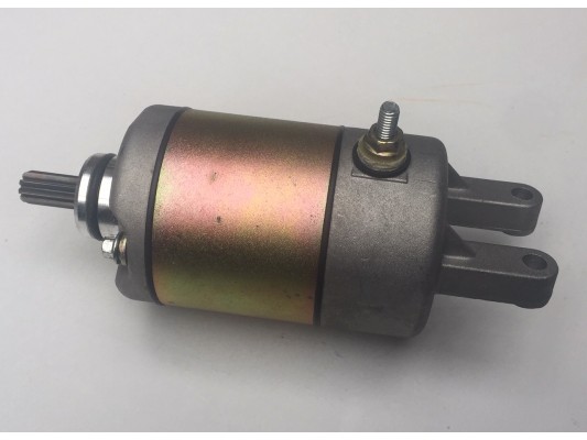 Renegade DX10 Starter motor