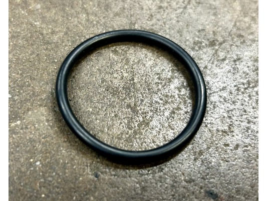 RASCAL 325cc EFI Intake Elbow O-Ring