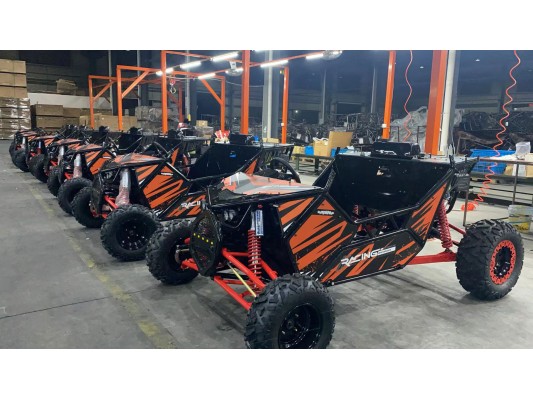 Renegade Rascal Off Road Buggy