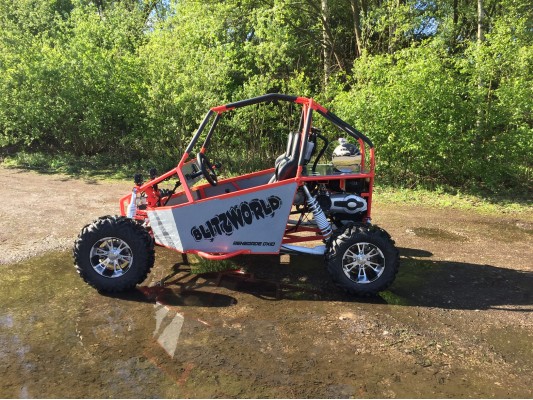 Renegade DX10 (Auto) buggy 300cc X-demo