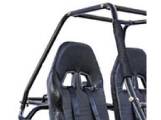 Ripster 200cc RHS Roll Bar