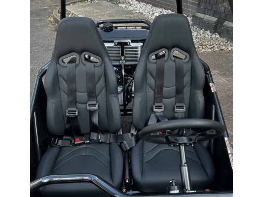 Ripster 200cc (USA spec) 13.5hp (kids/adults) Buggy