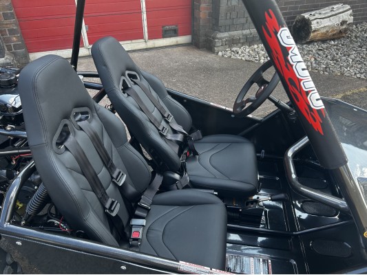 Ripster 200cc (USA spec) 13.5hp (kids/adults) Buggy