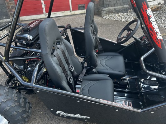 Ripster 200cc (USA spec) 13.5hp (kids/adults) Buggy