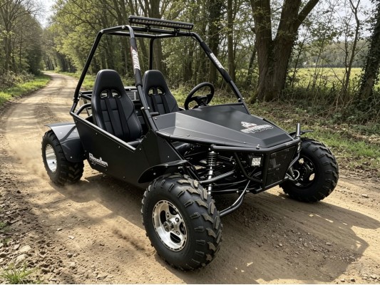 Ripster 200cc (USA spec) 13.5hp (kids/adults)