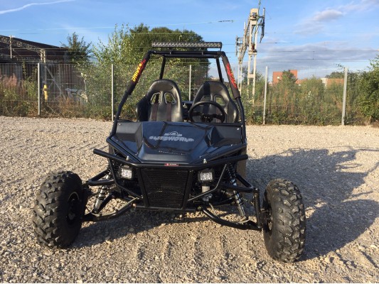 Ripster 200cc Buggy 10" Alloys (USA spec) 13.5hp (kids/adults)