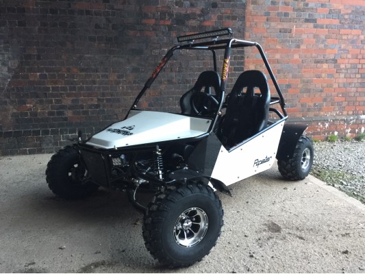 Ripster 200cc (USA spec) 13.5hp (kids/adults)