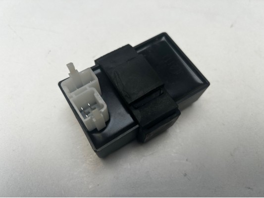 Ripster 200cc CDI / ECU Unit