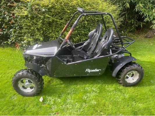 Ripster 200cc USED For sale (GS)   SOLD